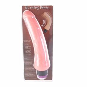 BAILE - REALISTIC VIBRATOR 19.5 CM BAILE VIBRATORS