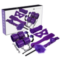 ESPERIENZA - KIT BDSM FETISH SERIE VIOLA