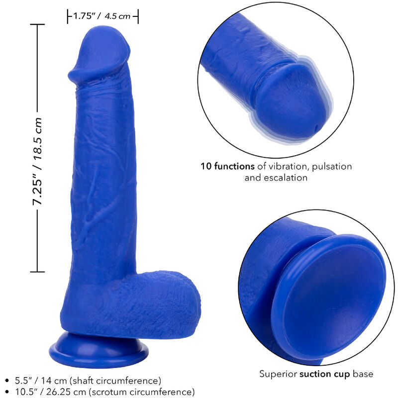 CALEXOTICS - ADMIRAL CAPTAIN REALISTIC DILDO VIBRATOR BLUE CALEXOTICS
