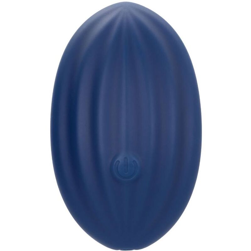CALEXOTICS - CASHMERE VELVET CURVE BLUE CALEXOTICS