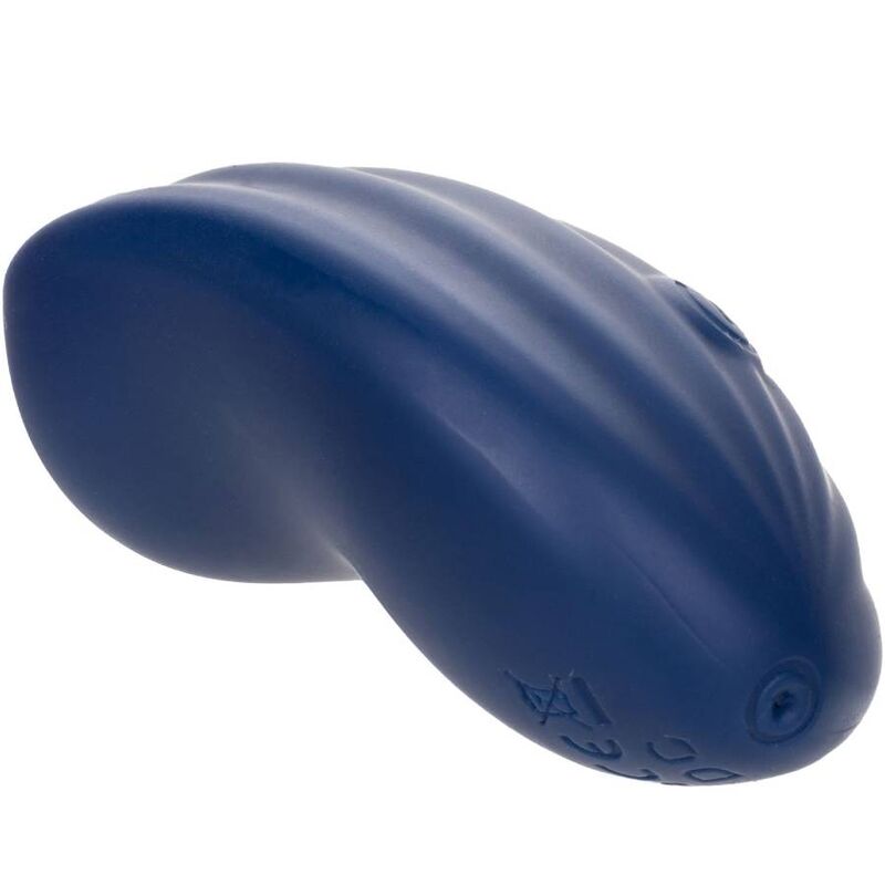 CALEXOTICS - CASHMERE VELVET CURVE BLUE CALEXOTICS