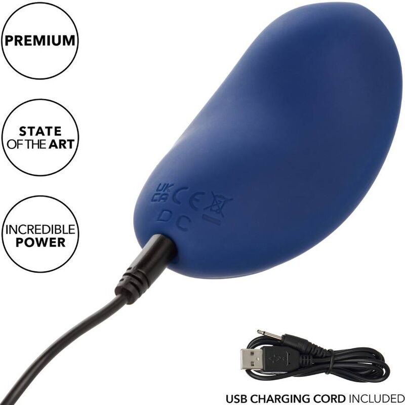CALEXOTICS - CASHMERE VELVET CURVE BLUE CALEXOTICS