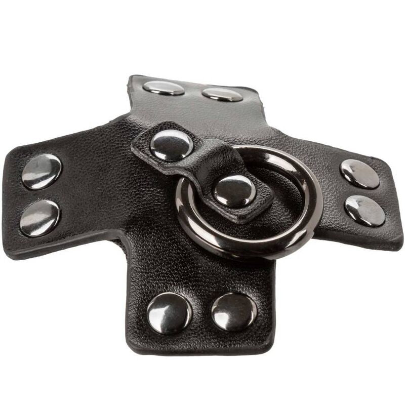 CALEXOTICS - EUPHORIA O-RING BLACK CALEXOTICS