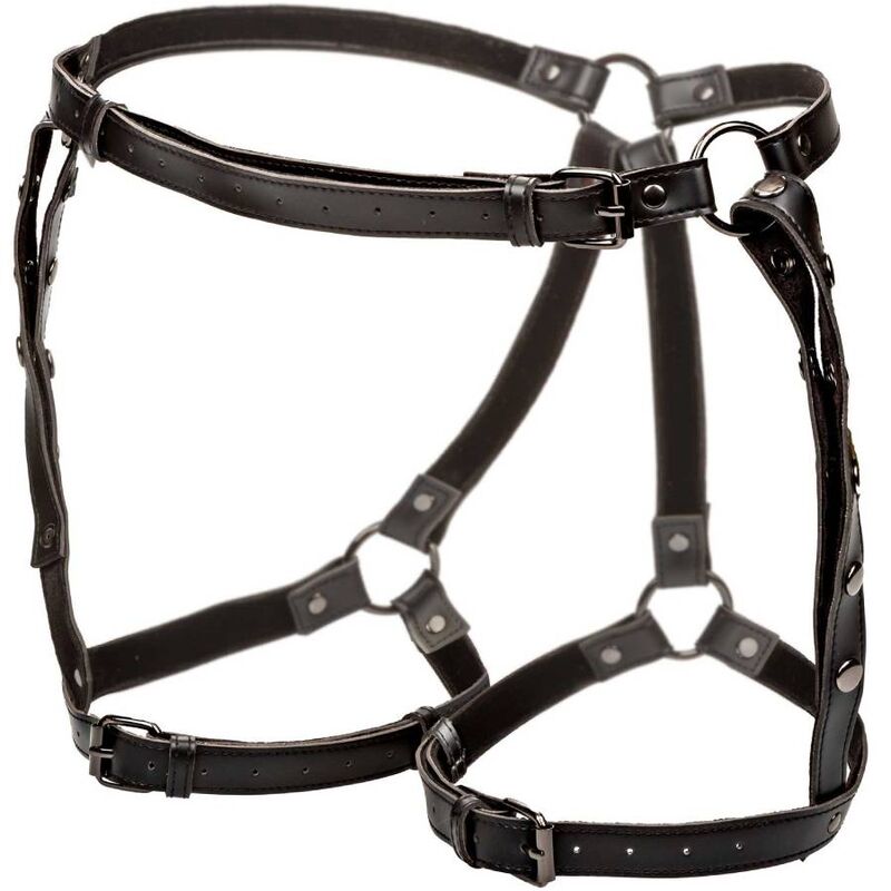 CALEXOTICS - EUPHORIA PLUS SIZE RIDING THIGH HARNESS CALEXOTICS