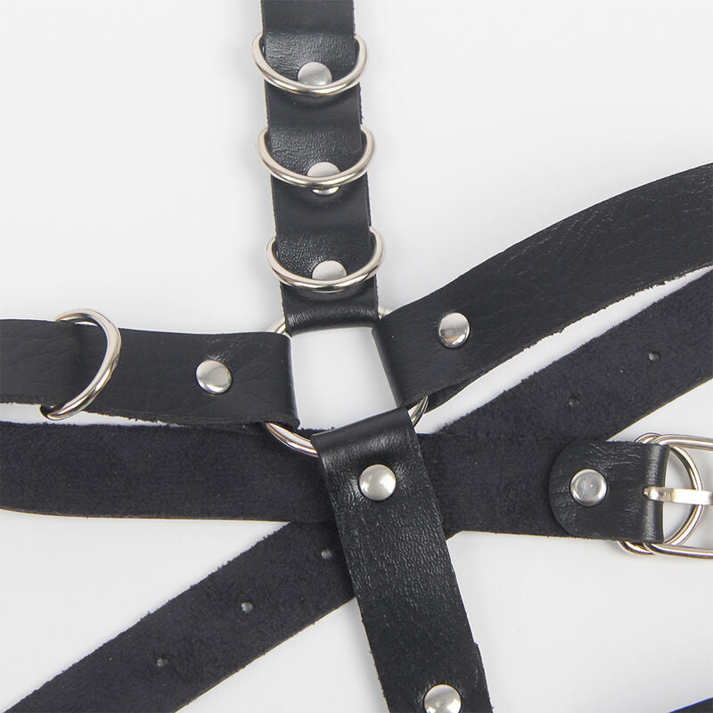 SUBBLIME - GARTER HARNESS WITH RINGS ONE SIZE SUBBLIME FETISH