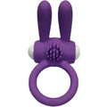ARMONY - ANILLO VIBRADOR MR BUNNY SILICONA PÚRPURA