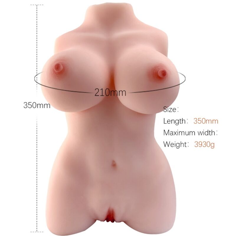 ARMONY - REALISTIC FEMALE TORSO MODEL 3 ARMONY FOR HIM